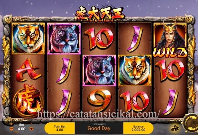 Tiger Warrior: Slot Aksi dengan Naga dan Pengganda Menarik